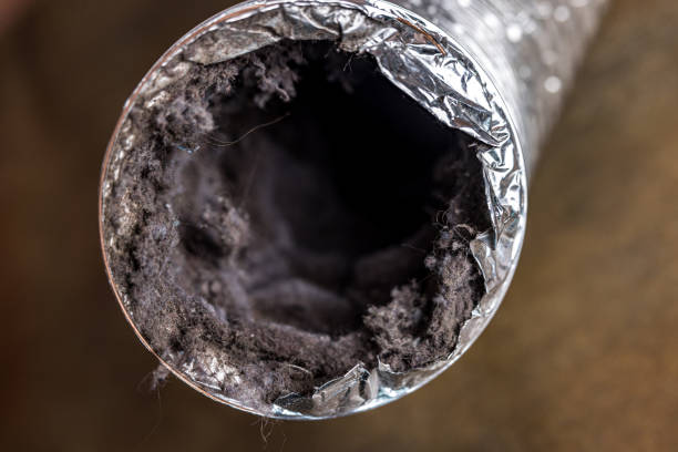 Best Affordable HVAC Duct Cleaning  in North Kensington, MD